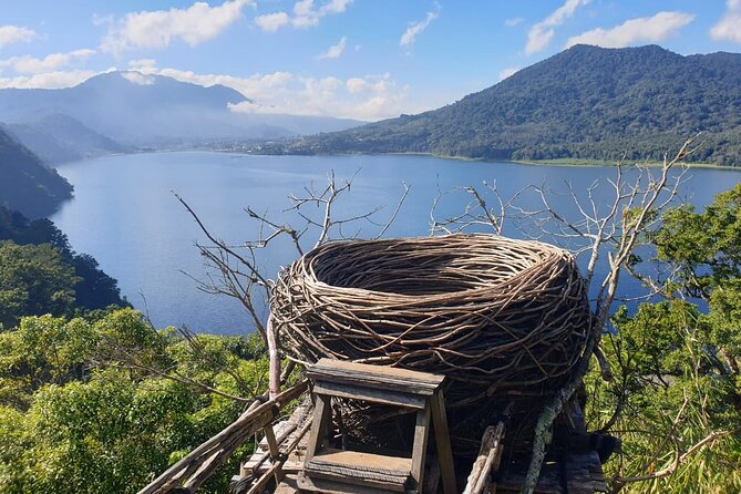 Full Day Bali North West Tour - Waterfall and Scenic Site - Quick Reasons You Will Like This Tour