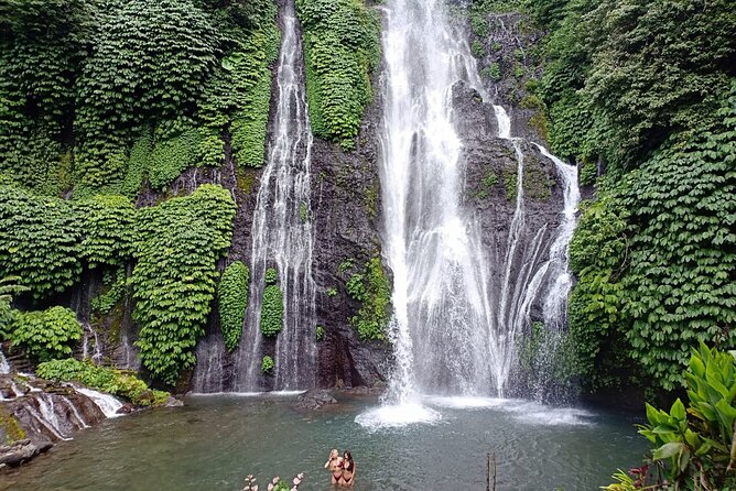 Full Day Bali North West Tour - Waterfall and Scenic Site - Handara Iconic Gate Stop 3: Quick Photo, Big Payoff