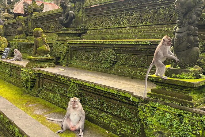 Full Day Best of Ubud Private Tour - Tirta Empul Temple: holy springs, real rules, and respectful visiting