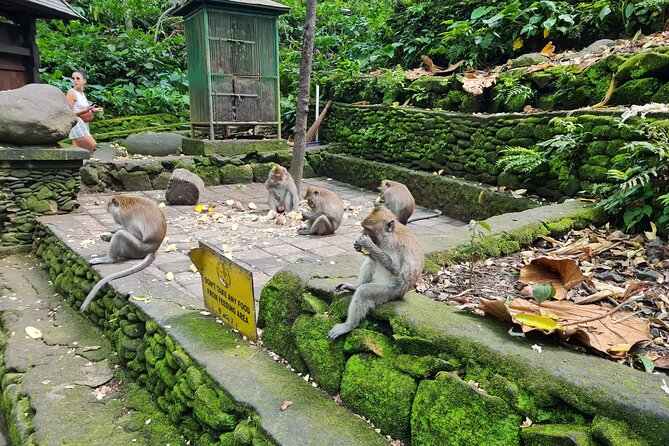 Full Day Best of Ubud Private Tour - Pickup from Ubud and south Bali, and how to plan your start time