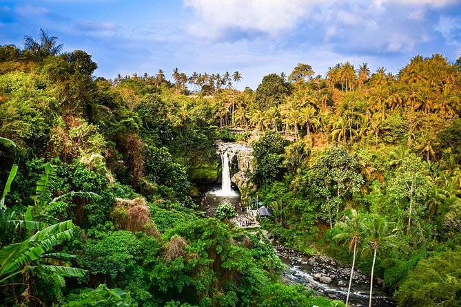 Full-Day Highlights and Best of Ubud Village - Getting Picked Up From Kuta and Settling Into the A/C Ride