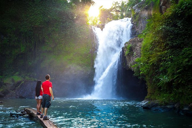 Full-Day in Bali: Amazing Ubud Tour - Optional add-ons near your hotel, and how to choose one