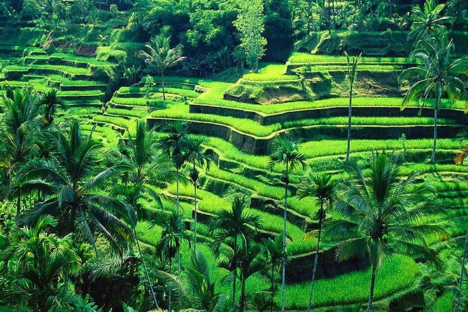 Full-Day in Bali: Amazing Ubud Tour - Puseh Batuan Temple: a nearly 1,000-year-old start