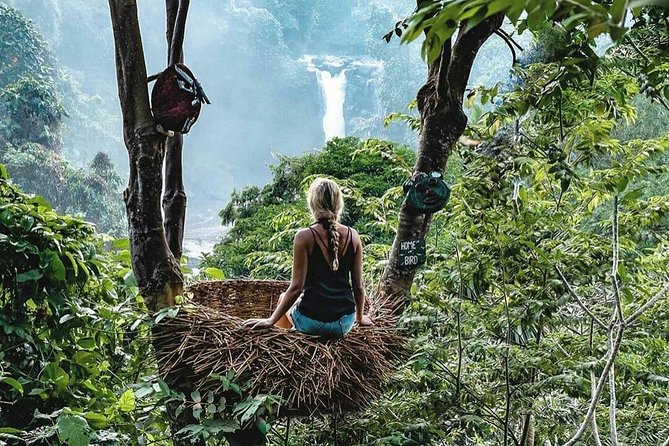 Full-Day in Bali: Private Design-Your-Own Tour - Should You Book This Private Ubud Tour?