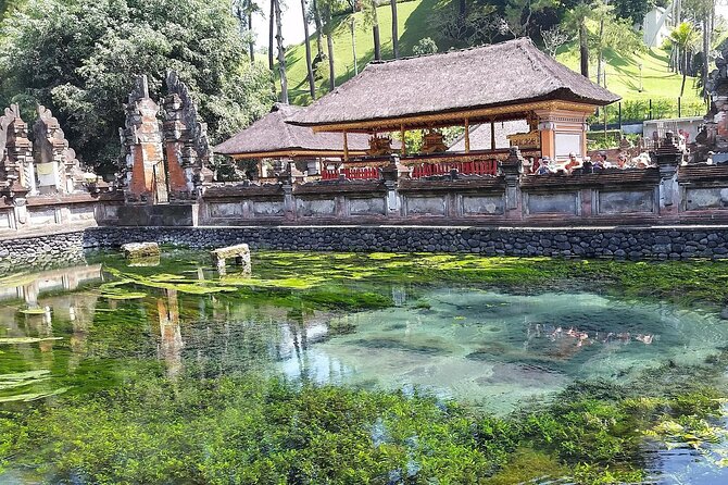 Full Day Kintamani Volcano View and Ubud Village Tour - Price and Value: What $65 Buys You (and What It Doesn’t)