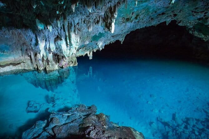Full Day Komodo Tour With Hey Bali Info Visit 6 Spot - Pink Beach snorkeling: pink sand, clear water, and short time