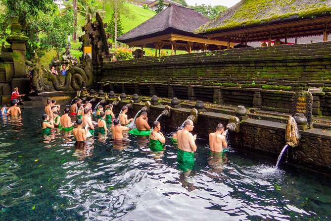 Full-Day Private Car Charter in Bali with Local Guide - Why a private Ubud car beats trying to DIY