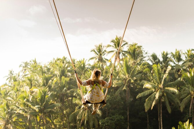 Full-Day Private Car Charter in Bali with Local Guide - Stop 2, Sacred Monkey Forest Sanctuary, learn the rules fast