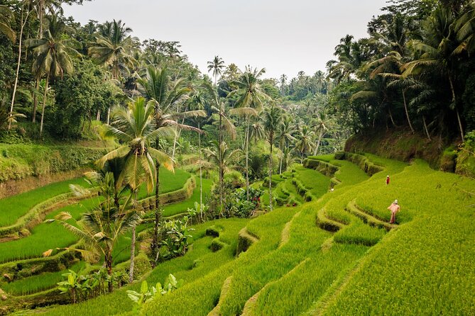 Full-Day Private Guided Exploring Bali as You Wish Tour - How the Day Flows: 8:30 Start, 10 Hours, and 45-Minute Stop Blocks