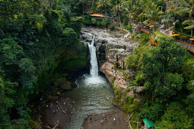 Full Day Private Guided Tour to Bali - Tegalalang Rice Terrace: cliff views and 45 minutes that matter