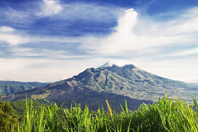 Full Day Private Guided Tour to Bali - Sacred Monkey Forest Sanctuary: temples, trees, and roaming monkeys