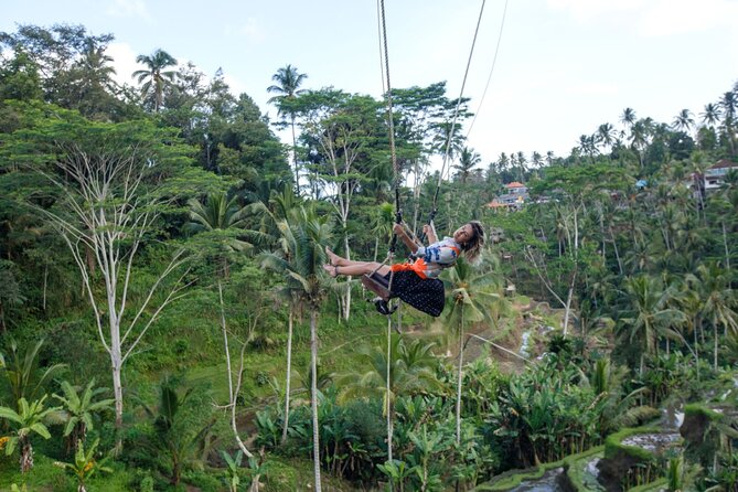 Full Day Private Guided Tour to Bali - Optional Ubud add-ons: arts, palaces, and a longer way to shop