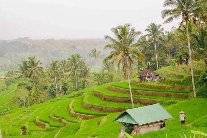 Full-Day Private North Bali Tour with Free WiFi - North Bali in One Long Day, Without the Map Anxiety