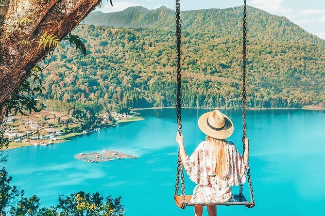 Full-Day Private North Bali Tour with Free WiFi - Wanagiri Hills Swing Over Twin Lakes and Bird-Nest Views