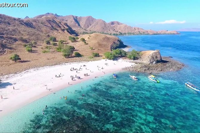Full Day Tour to Komodo Island By Speed Boat to explore 6 destinations - A 10.5-hour Komodo loop that starts at 6:30 am