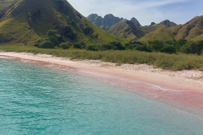 Full Day Tour to Komodo Island By Speed Boat to explore 6 destinations - Komodo Island trek: seeing dragons in their habitat