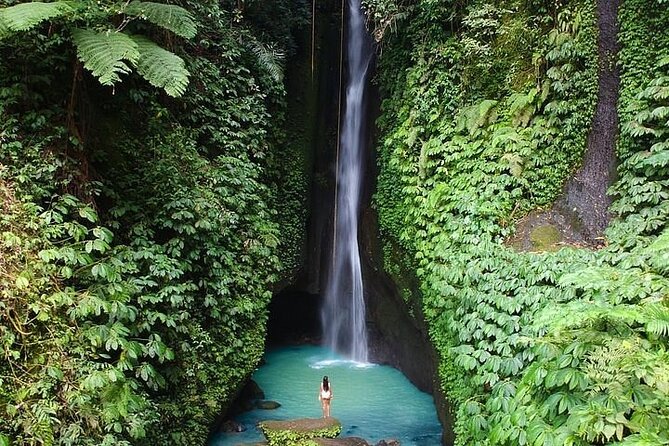 Full-Day Tour to Water Temples and UNESCO Rice Terraces in Bali - Door-to-door private transport, and why it saves your energy