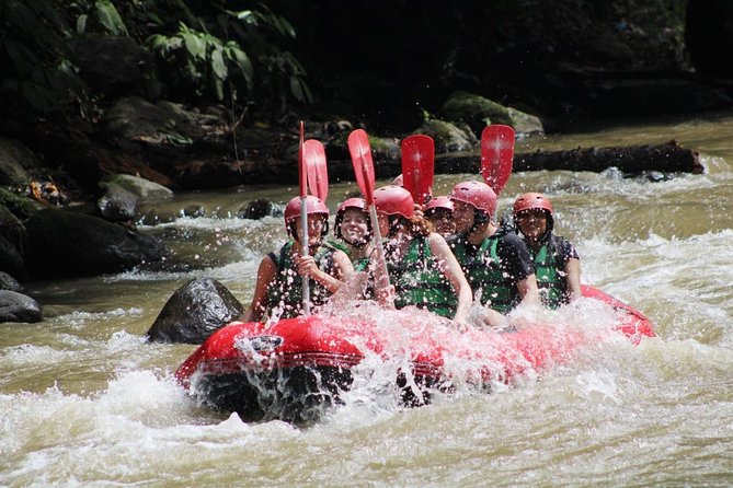 Full-Day Tour: White Water Rafting and Highlight of Ubud with All-inclusive - Why this Ubud combo tour makes sense for limited time
