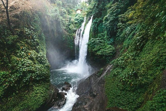 Full day Ubud and Tanah Lot tour - Transport, timing, and what “8 to 10 hours” really means for your day