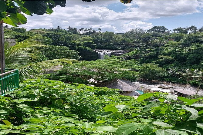 Full Day Ubud Tour - A private Ubud day that blends temples, water, and photo stops