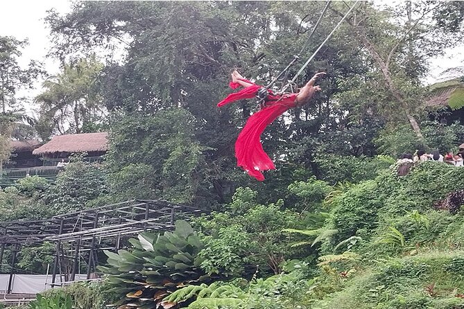 Full Day Ubud Tour - Getting going at 8:00am: private pickup from Ubud and south Bali