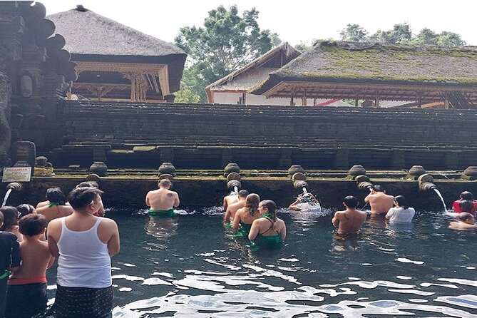 Full Day Ubud Tour - Tegalalang Rice Terrace: subak irrigation views you can actually explain