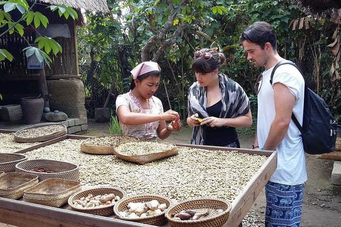 Full-Day Ubud Village including Mt Batur Tirta Empul and Sightseeing Tour - Why this Ubud and Mt Batur day feels worth your time