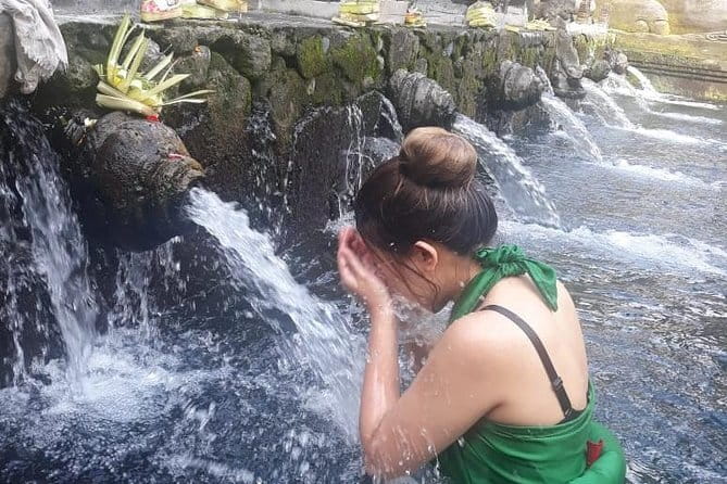 Full-Day Ubud Village including Mt Batur Tirta Empul and Sightseeing Tour - Tegalalang rice terraces and the Subak irrigation system