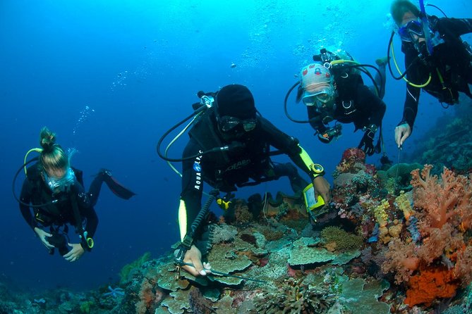 Fun Diving Tulamben Bali - For Certified Divers - USAT Liberty in Tulamben: the WWII wreck that is close to everything
