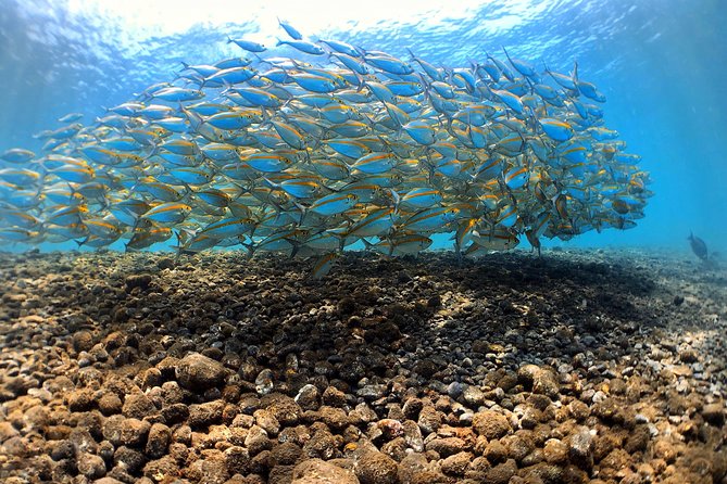 Fun Diving Tulamben Bali - For Certified Divers - The team factor: why the guides and photographers get so much credit