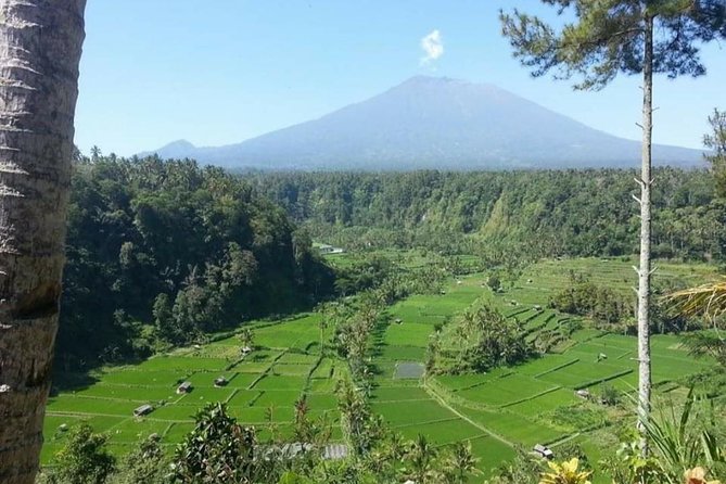 Gate Heaven Lempuyang Tirta Gangga East Bali Private Guided Tour - Getting around: pickup coverage, MPV comfort, and a 10-hour day reality