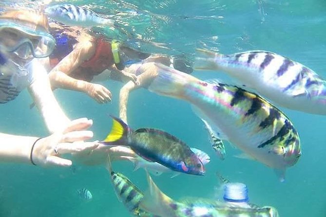 Gate Heaven Tirta Gangga With Snorkeling Private Guided Tour - A 10-hour Bali day that moves, in the best way