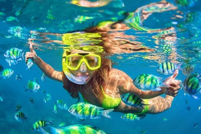 Gates of Heaven Temple and Blue Lagoon Snorkeling with All-inclusive - Price and value: what $64 really covers