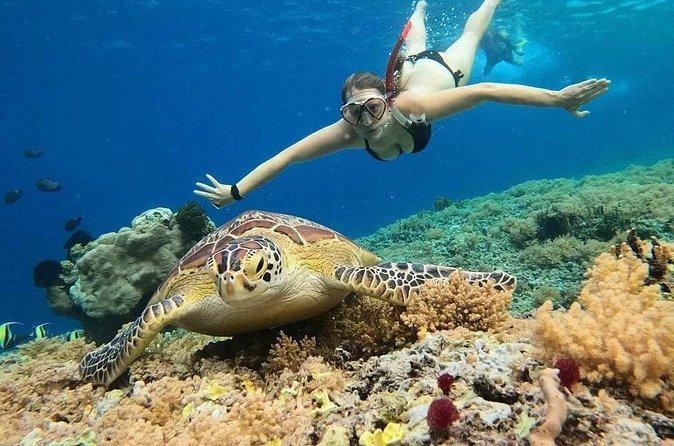 Gili Air: Snorkeling 3 Gili Islands with GoPro Camera - Glass-bottom boat time: coral viewing even before you swim