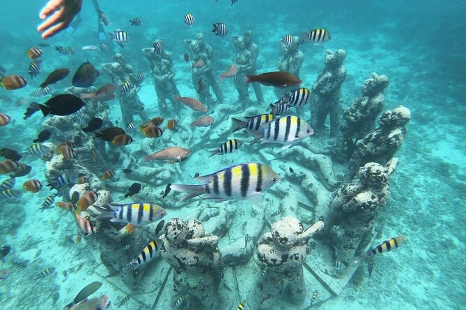 Gili island Snorkeling Half Day Trip departure from Gili Trawangan - Key things to know before you go
