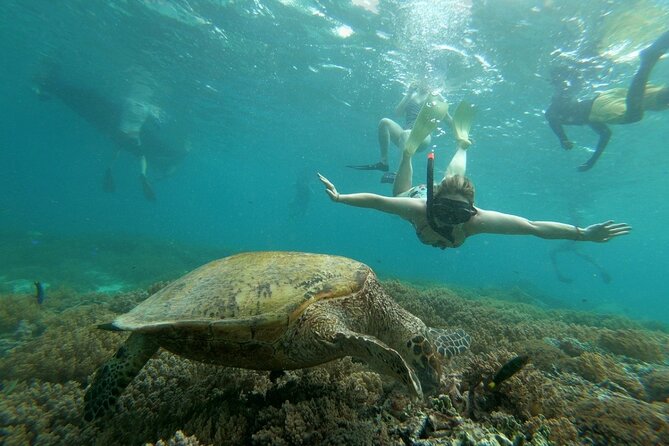 Gili island Snorkeling Half Day Trip departure from Gili Trawangan - Stop 2: Gili Air coral reefs, fish variety, and a lunch break you control