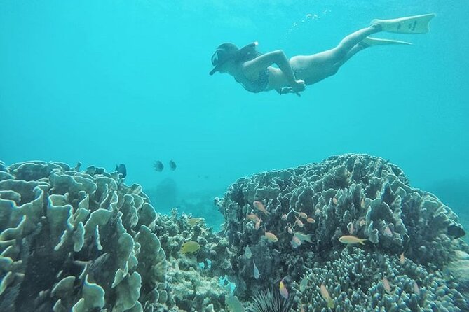 Gili island Snorkeling Half Day Trip departure from Gili Trawangan - Boat reality on shared departures: fast, but sometimes cramped