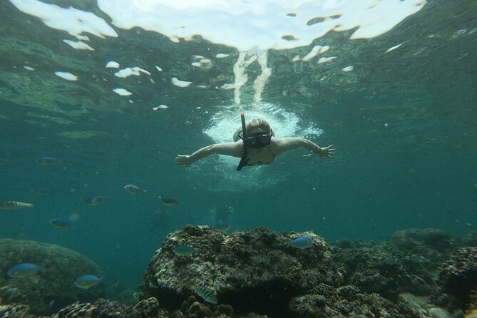 Gili island Snorkeling Half Day Trip departure from Gili Trawangan - What the included equipment really means for value