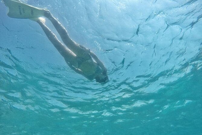 Gili island Snorkeling Half Day Trip departure from Gili Trawangan - Price and value: $18 a person with gear included, minus lunch