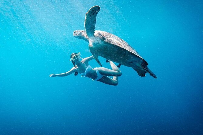 Gili Island Snorkeling Trip - Gili Trawangan, Gili Meno, & Gili Air, From Lombok - How This Private Gili Snorkeling Day Works From Lombok