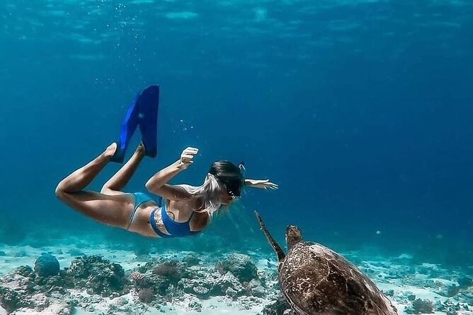 Gili Island Snorkeling Trip - Gili Trawangan, Gili Meno, & Gili Air, From Lombok - Stop 5 on Gili Trawangan: Vespa Underwater Point