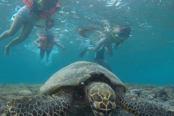 Gili Trawangan & Gili Air Snorkeling Tour Turtles & Statue - Lunch, Island Time, and Cash and Towel Reality