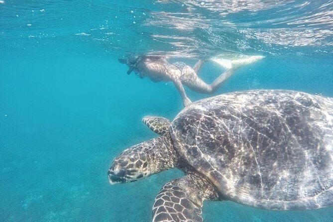 Gili Trawangan,Gili Meno& Gili Air Island:Snorkeling Day Trip Depart from Lombok - Snorkeling Equipment, Guide Style, and What That Means for You