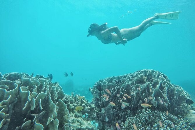 Gili Trawangan,Gili Meno& Gili Air Island:Snorkeling Day Trip Depart from Lombok - Price and What You Actually Get for $86