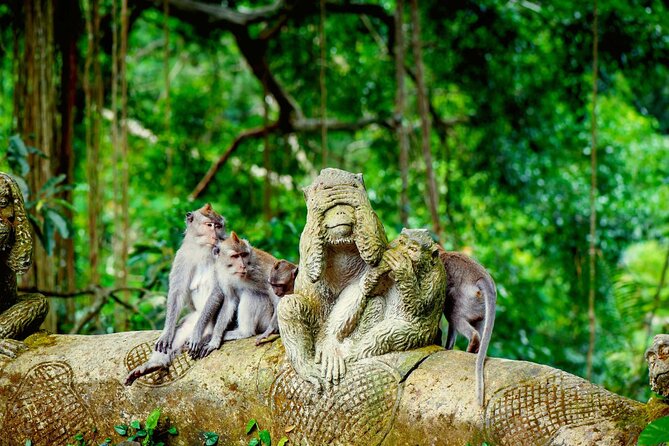 Goa Gajah / Elephant Cave Temple And Ubud Tour - All Inclusive - Ubud Monkey Forest: temples, timing, and staying in control