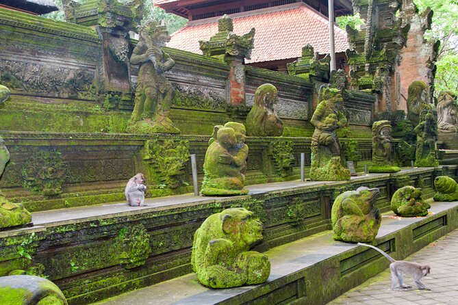Goa Gajah / Elephant Cave Temple And Ubud Tour - All Inclusive - Lunch at dAlas Warung: a jungle-view reset