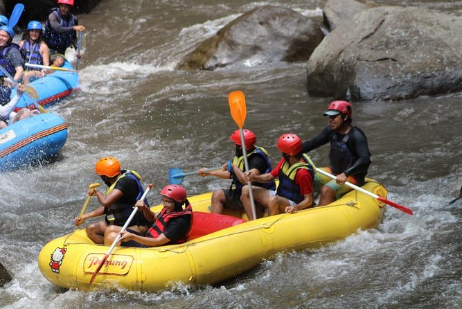 Green Bali Rafting Ticket And Transfer - Timing, pacing, and who this works best for