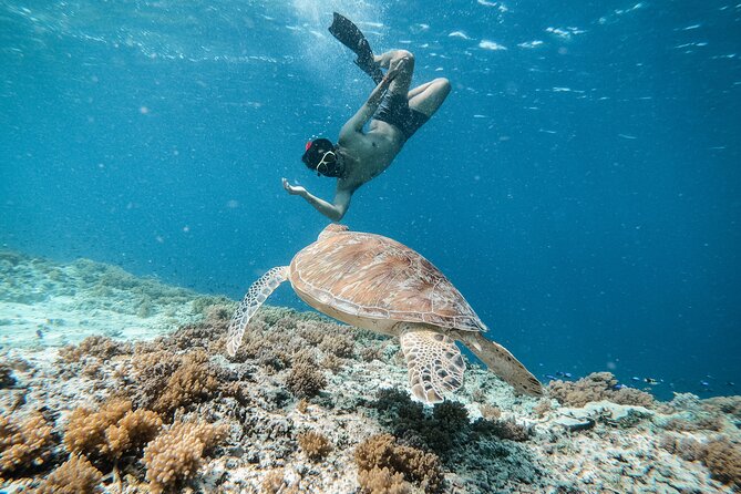 Group Snorkeling Tour Gili Islands Including GoPro Documentation - Starting at Sama-Sama Reggae Bar, and why that matters