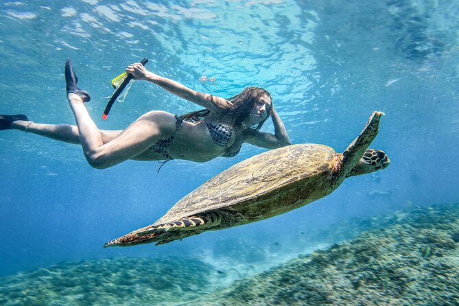 Group Snorkeling Tour Gili Islands Including GoPro Documentation - Gili Meno free time: turtle sanctuary walk and beach breaks