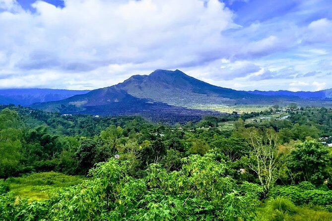 Gunung Kawi Rice Terrace Swing And Waterfall Private Guided Tour - Tickets, lunch, and the real cost math